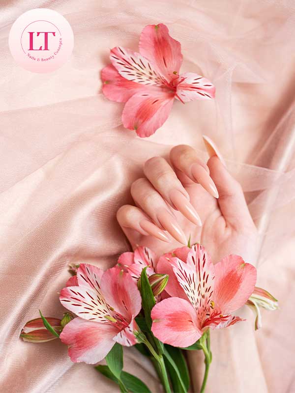 LT Nails & Beauty Concept